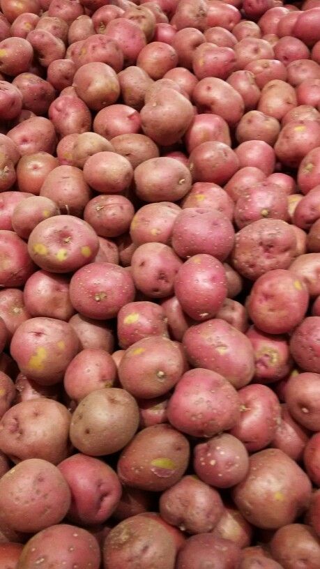 Farm Fresh Organic Premium Premium Fresh Irish Potatoes - Large (1kg)