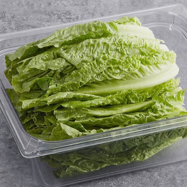 FarmMaster Grade B Organic Iceberg Lettuce - Medium (500g)