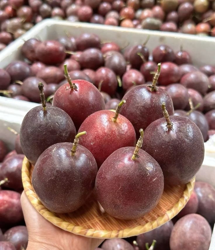 Farm Fresh Organic Premium Fresh Fresh Passion Fruits - Medium (500g)