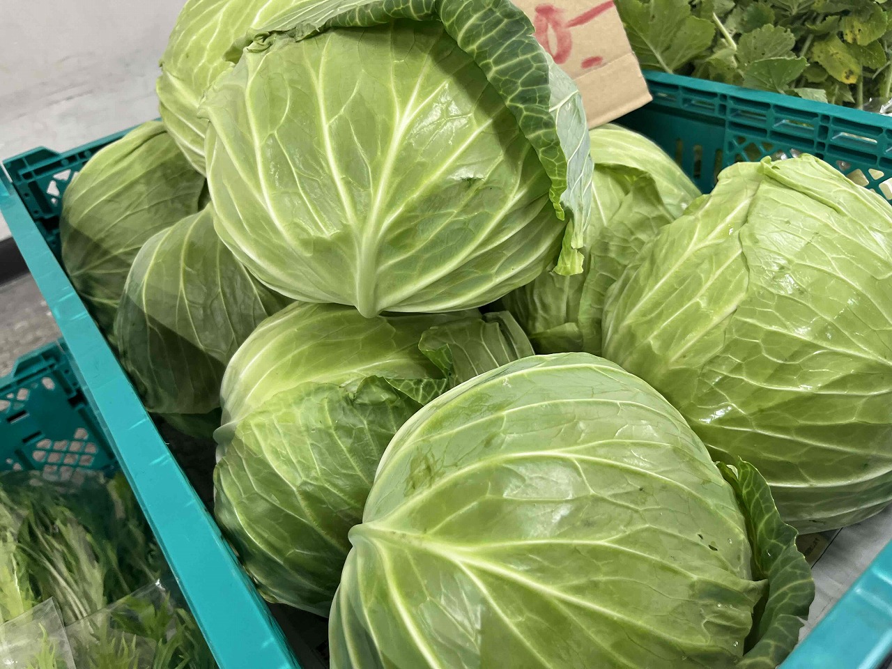 Farm Fresh Organic Premium Premium Green Cabbage - Large (1kg)