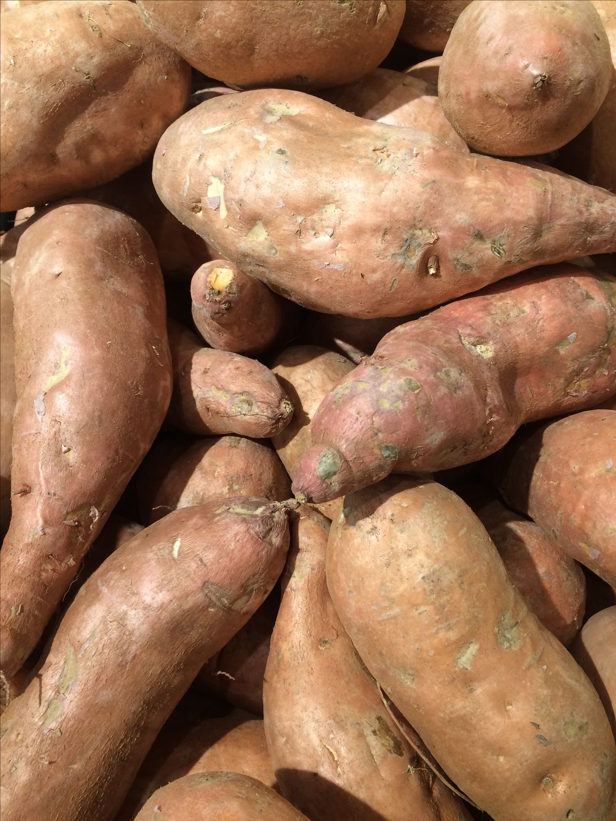 FarmMaster Organic Premium Farm Fresh Fresh Sweet Potatoes - Extra Large (2kg)