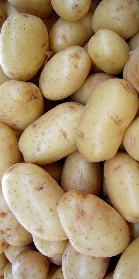 Premium Produce Grade A Premium Fresh Irish Potatoes - Large (1kg)