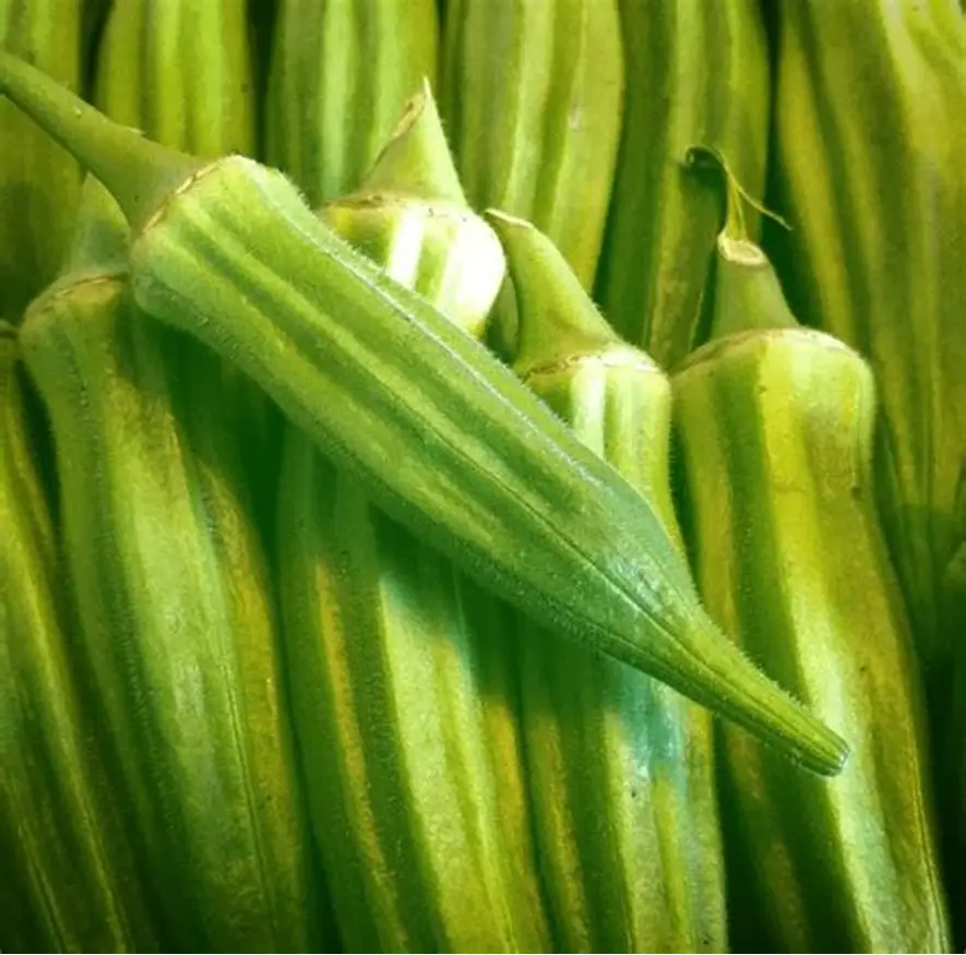 FarmMaster Organic Premium Fresh Fresh Okra - Large (1kg)