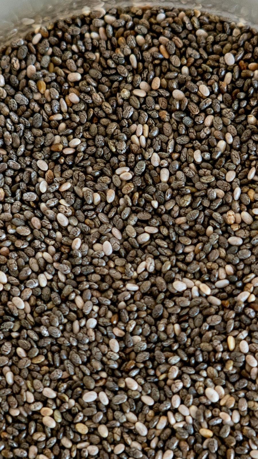 Farm Fresh Grade A Premium Dried Raw Chia Seeds - Extra Large (2kg)