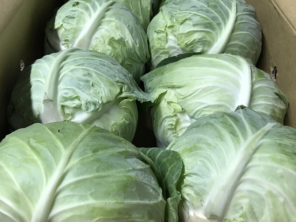 Premium Produce Organic Fresh Green Cabbage - Large (1kg)
