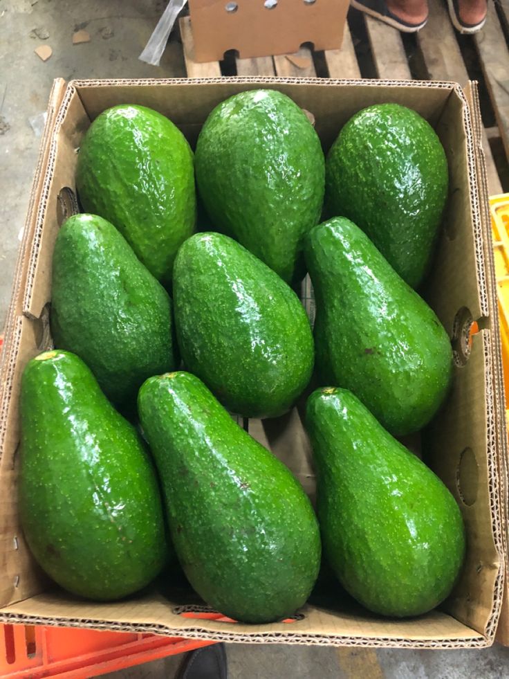 Fresh Direct Grade B Premium Fresh Avocado - Small (500g) - Box