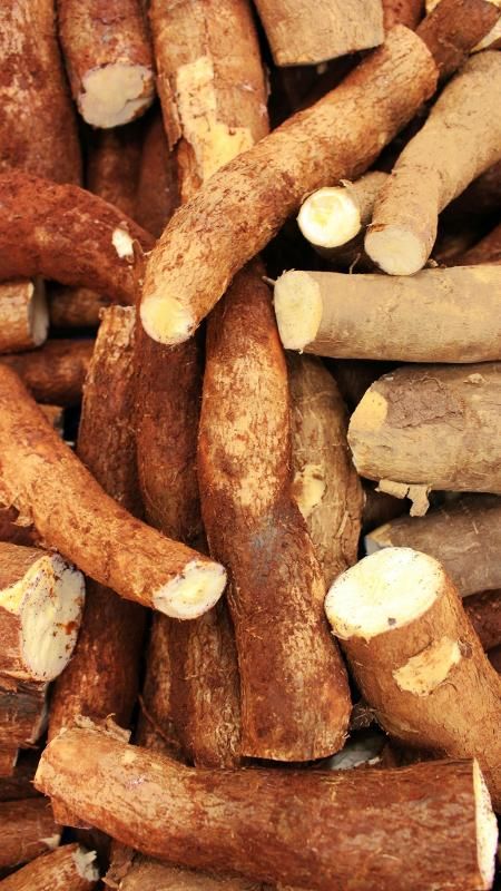 Organic Valley Grade A Farm Fresh Fresh Cassava - Extra Large (2kg)