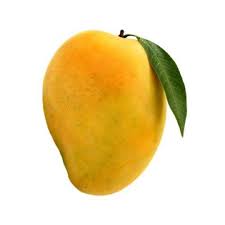 Grade A Organic Fresh Mangoes - Large (1kg)