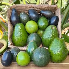 Organic Farm Commercial Grade Ready to Eat Avocado - Small (500g) - Pack
