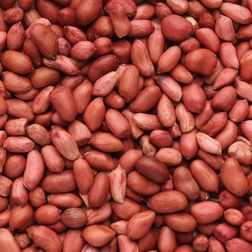 Farm Fresh Organic Premium Organic Raw Groundnuts - Large (1kg)
