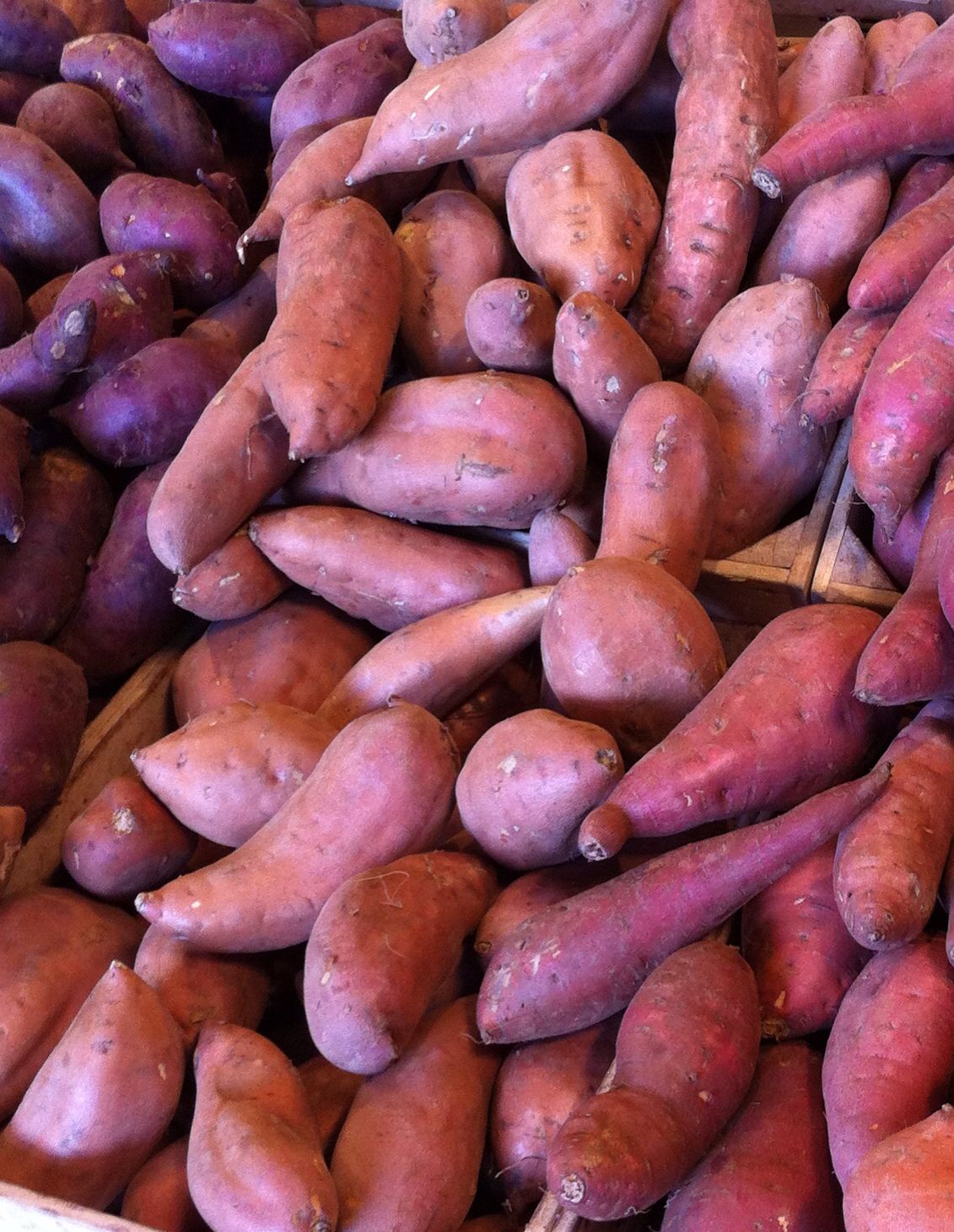 Organic Valley Grade B Organic Fresh Sweet Potatoes - Small (250g)