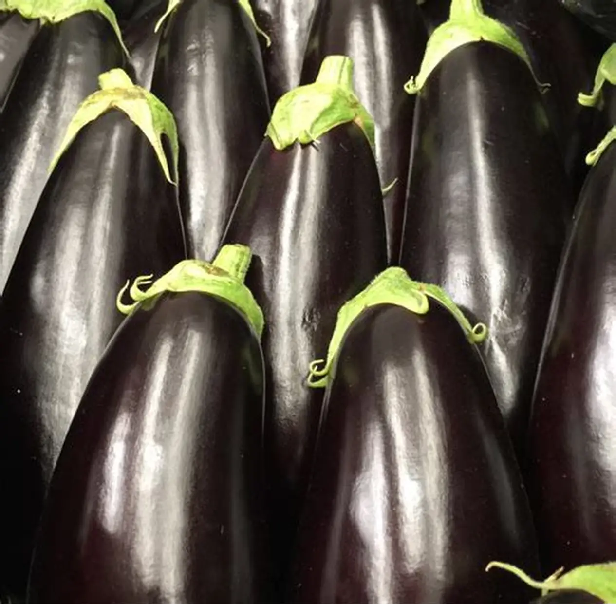Harvest Direct Grade B Organic Fresh Eggplant - Large (1kg)