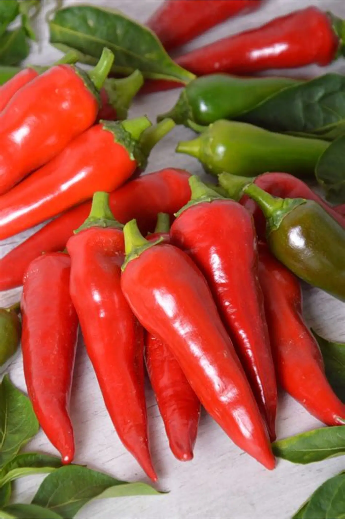 Organic Spice Grade B Sun Dried Bird's Eye Chillies - Extra Large (2kg) - Pack