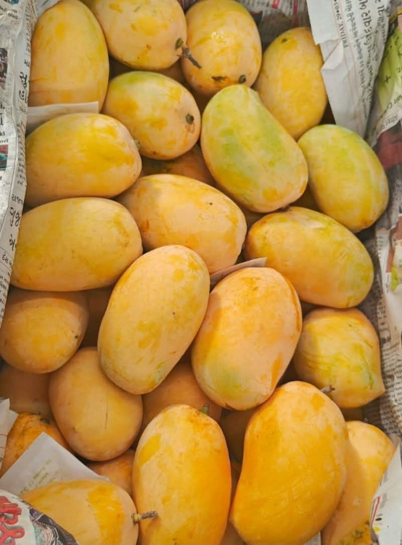 Harvest Direct Grade A Fresh Fresh Mangoes - Large (1kg)