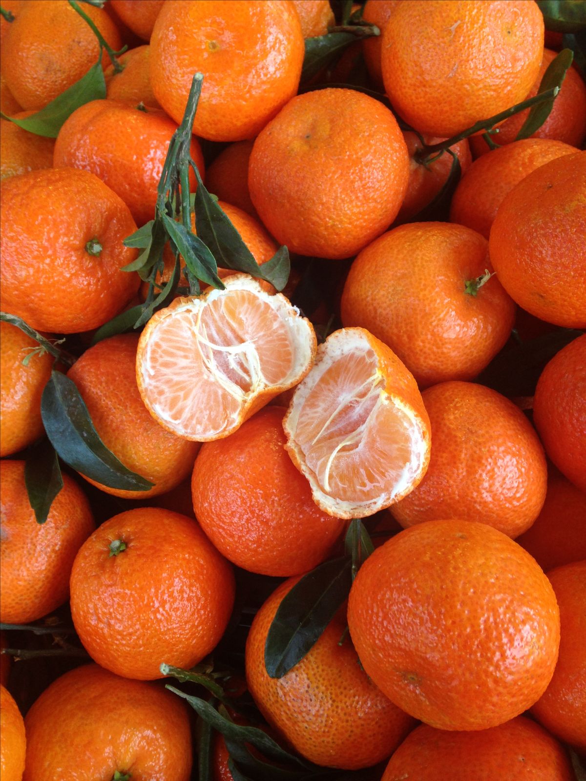 Premium Produce Organic Premium Fresh Oranges - Extra Large (2kg)
