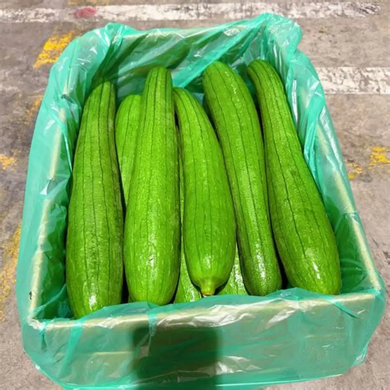 FarmMaster Organic Premium Organic Fresh Cucumber - Extra Large (2kg)
