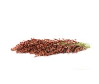 Organic Premium Premium Whole Sorghum - Small (250g)