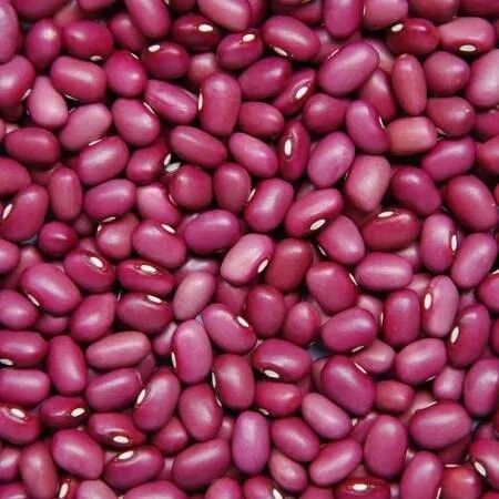 Farm Fresh Grade B Dried Red Kidney Beans - Small (250g)