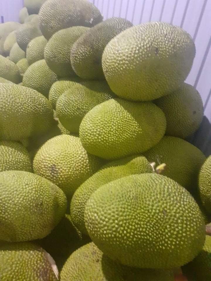 Harvest Direct Grade A Fresh Fresh Jackfruit - Large (1kg)