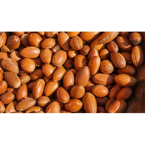 NutMaster Grade A Dried Raw Shea Nuts - Large (1kg)