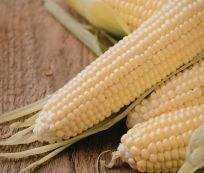 Grade B Organic White Maize - Medium (2kg) - Bulk