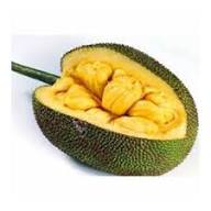 Organic Premium Premium Fresh Jackfruit - Small (250g)