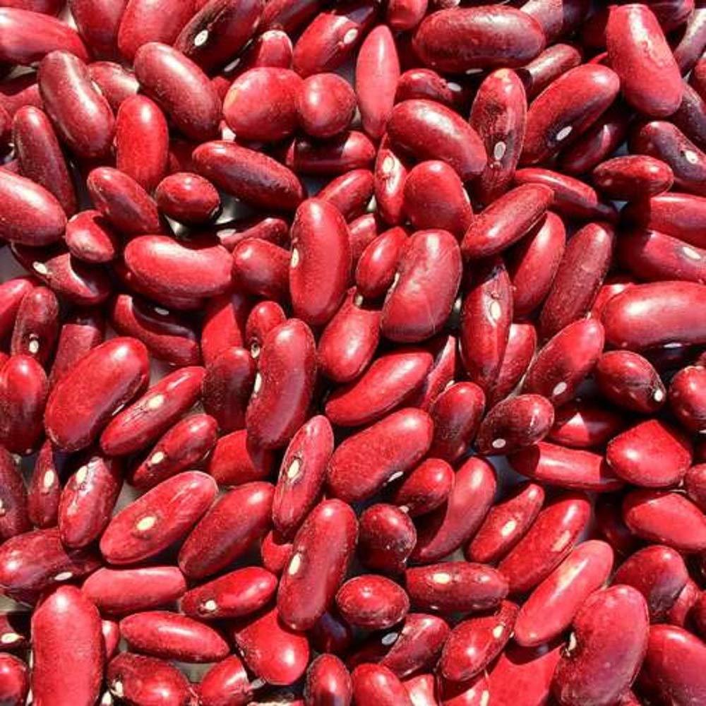 Natural Legumes Commercial Grade Farm Fresh Red Beans - Medium (1kg) - Bag