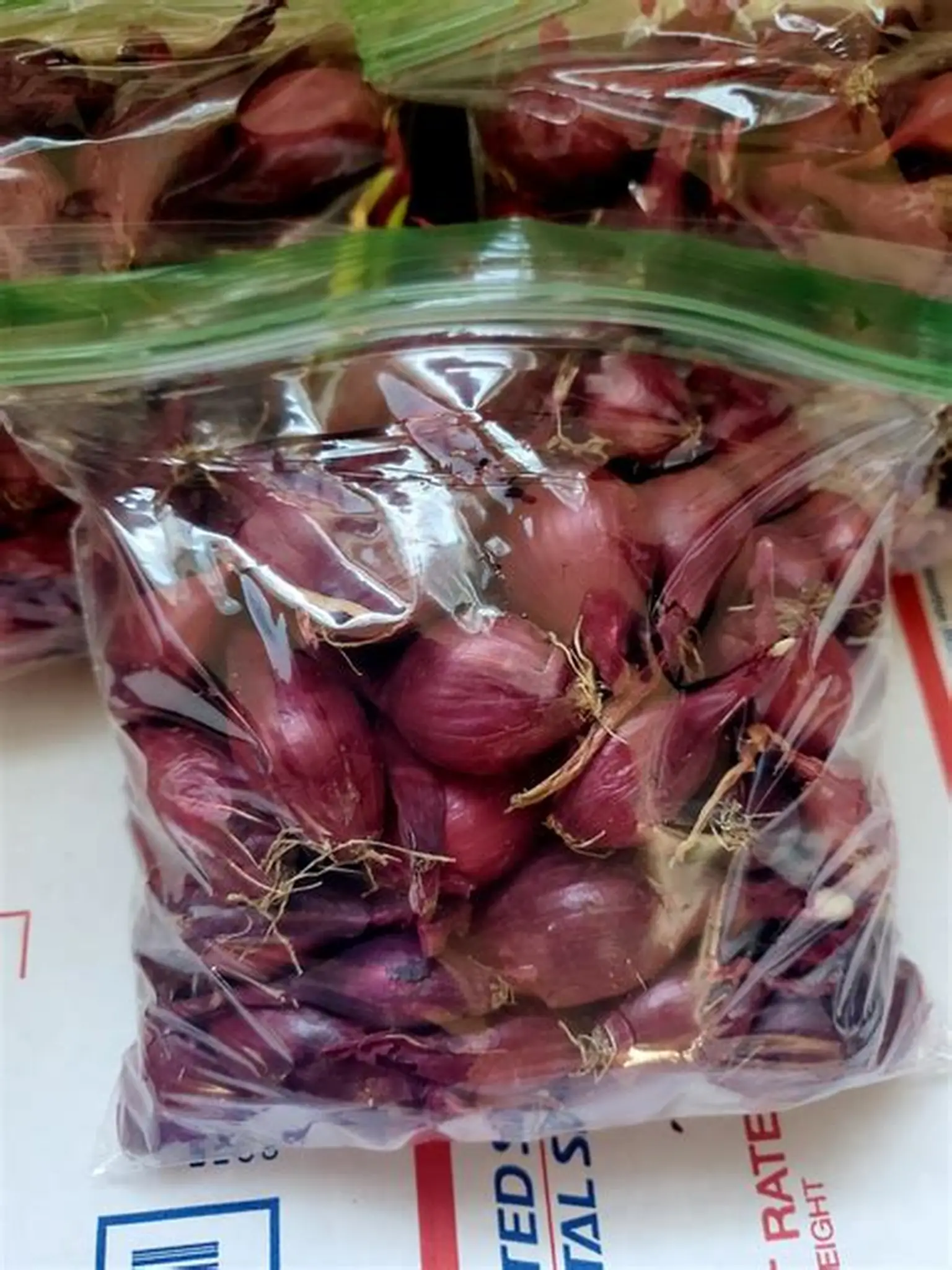 Farm Fresh Grade A Premium Ripe Red Onions - Small (500g) - Loose