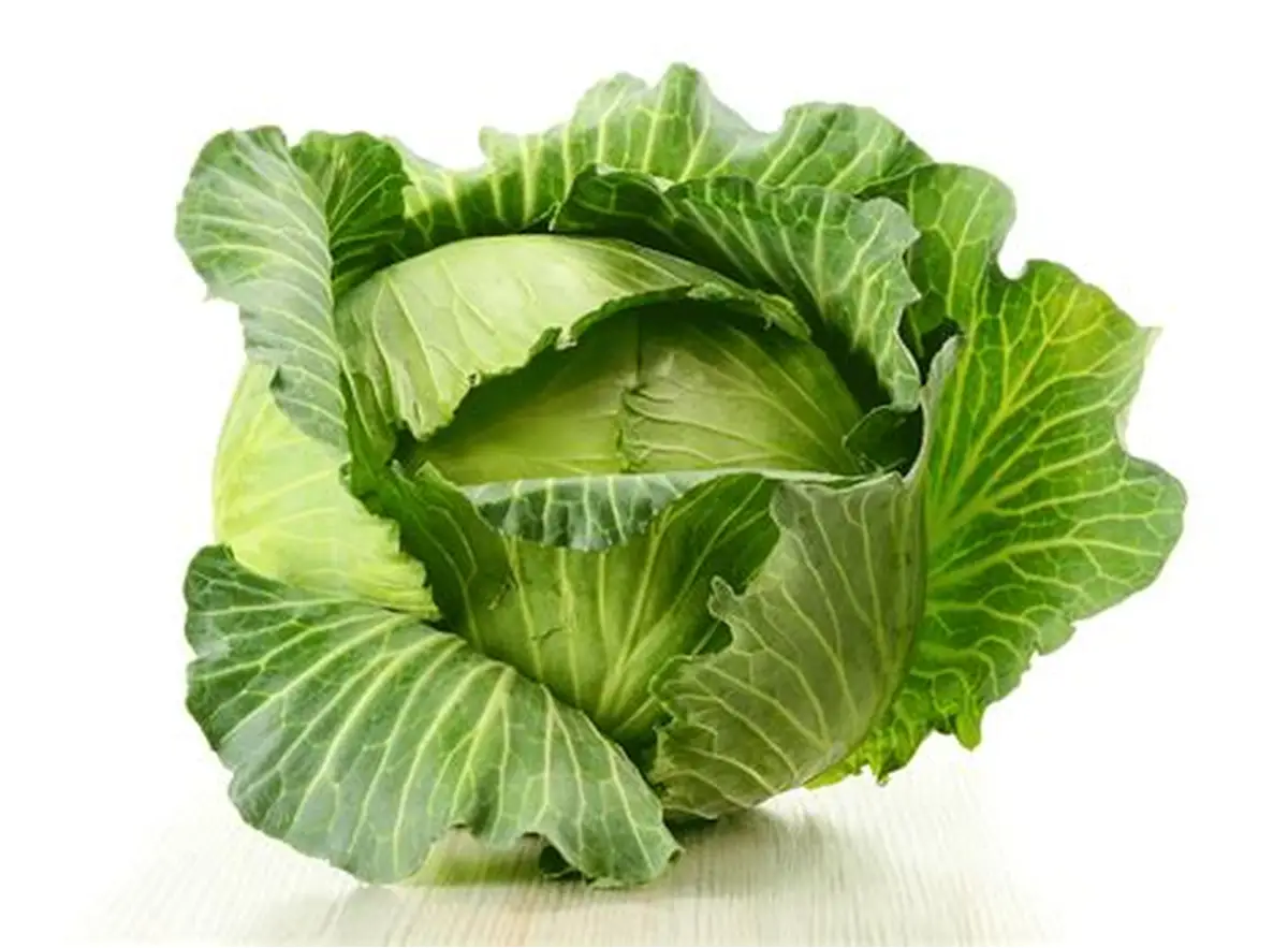 FarmMaster Organic Premium Premium Green Cabbage - Large (1kg)