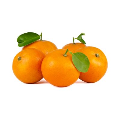 Fresh Oranges