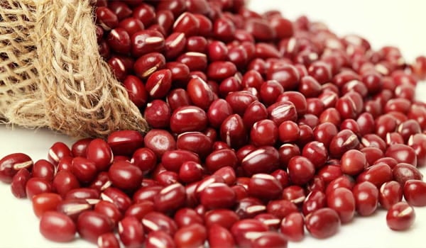Premium Farm Grade A Premium Shelled Red Beans - Jumbo (10kg) - Bag