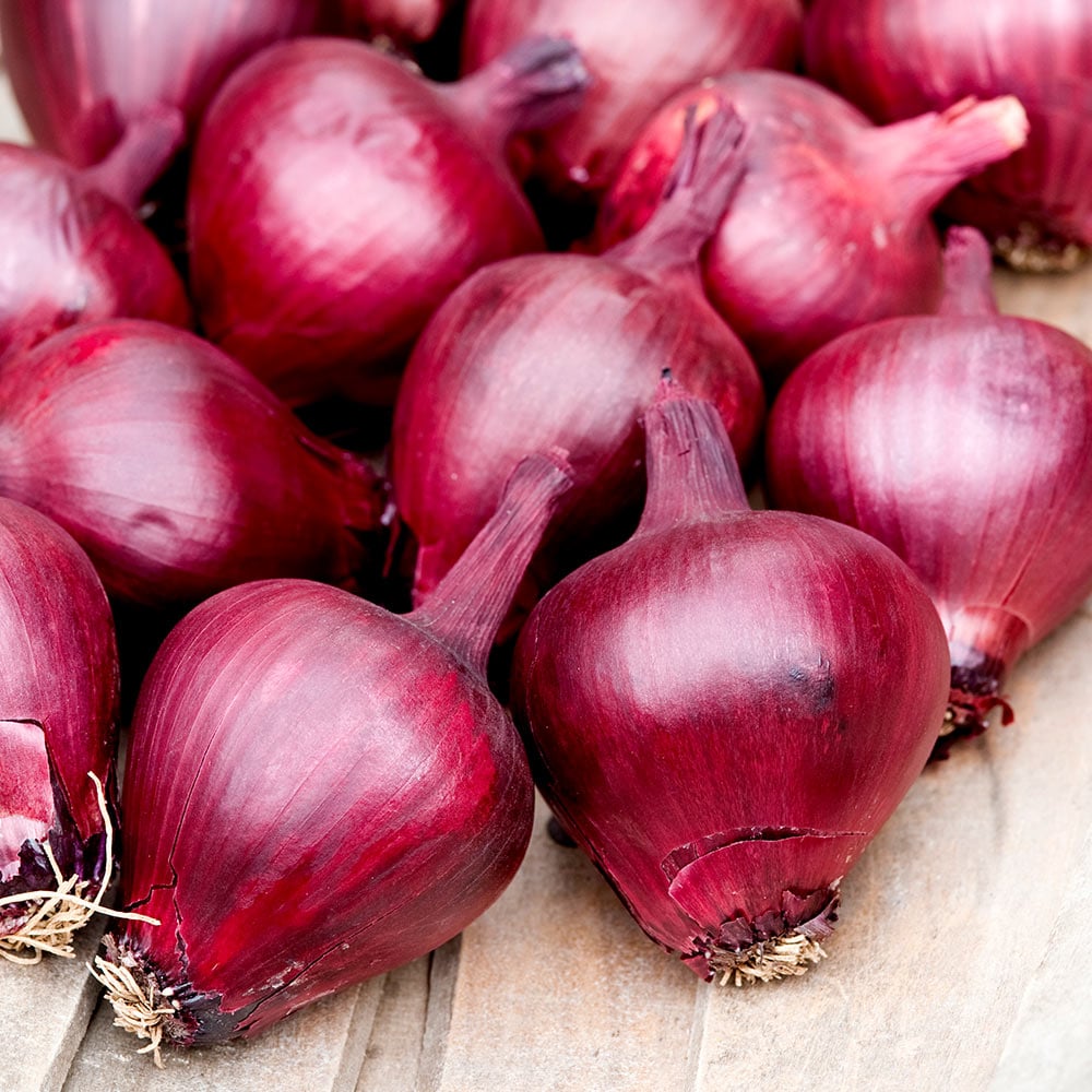 Organic Valley Commercial Grade Ripe Red Onions - Medium (1kg) - Crate