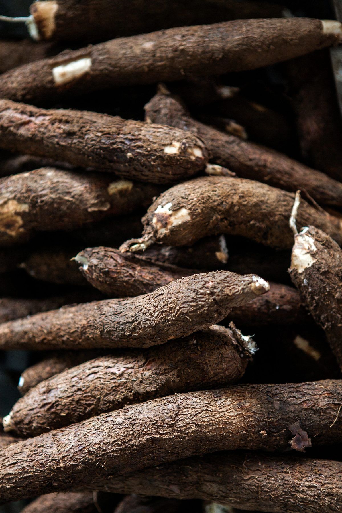 Organic Valley Grade B Dried Fresh Cassava - Medium (500g)