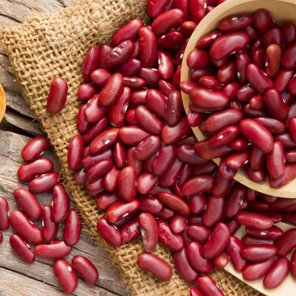 Bean Valley Commercial Grade Farm Fresh Red Beans - Jumbo (10kg) - Pack