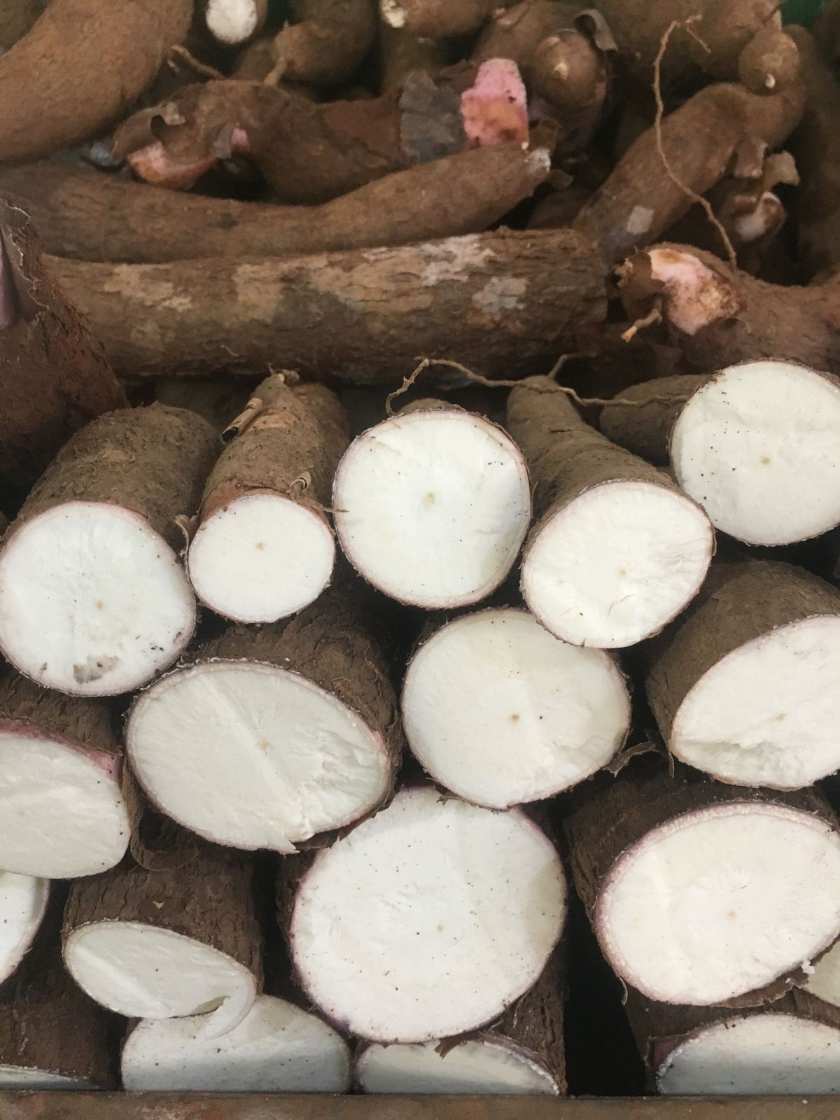 FarmMaster Grade A Farm Fresh Fresh Cassava - Large (1kg)