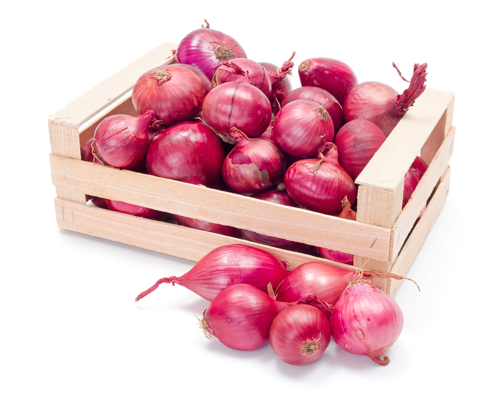 Fresh Direct Commercial Grade Organic Red Onions - Medium (1kg) - Box