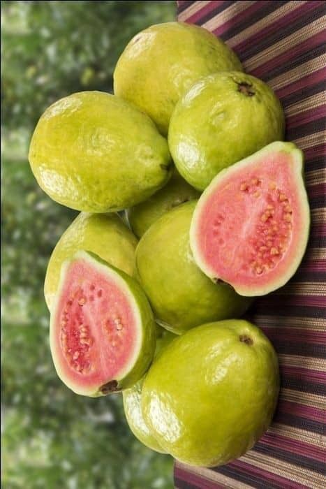 Organic Valley Organic Premium Premium Fresh Guava - Medium (500g)