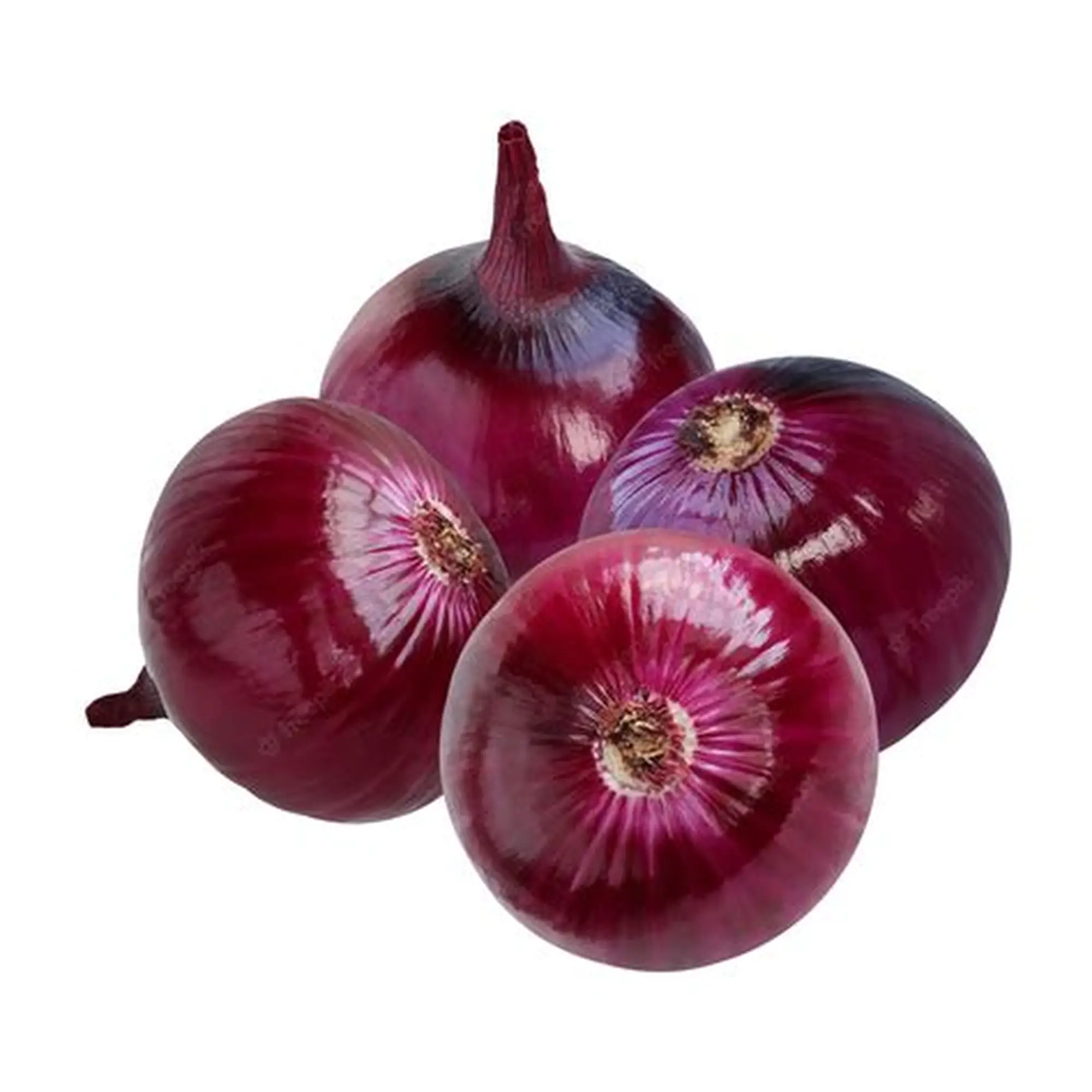 Nature's Best Commercial Grade Fresh Red Onions - Small (500g) - Bulk