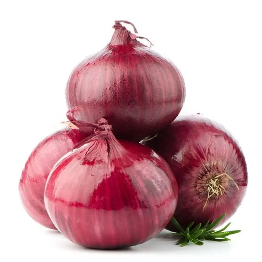 Tropical Fresh Grade A Premium Premium Fresh Red Onions - Small (500g) - Crate