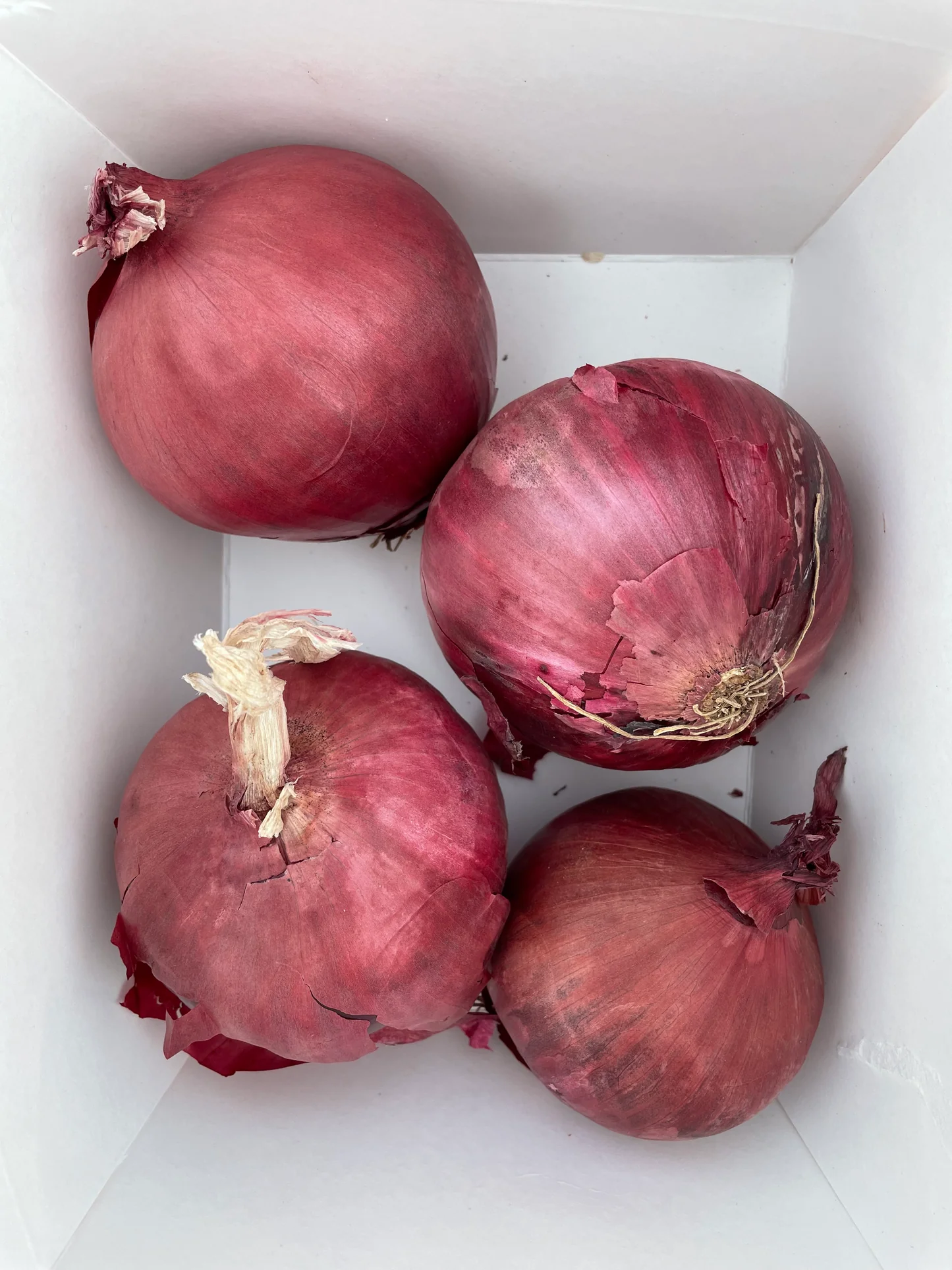 Nature Fresh Organic Farm Fresh Red Onions - Large (2kg) - Bulk