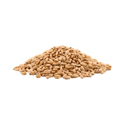 Organic Premium Fresh Pearl Barley - Medium (500g)
