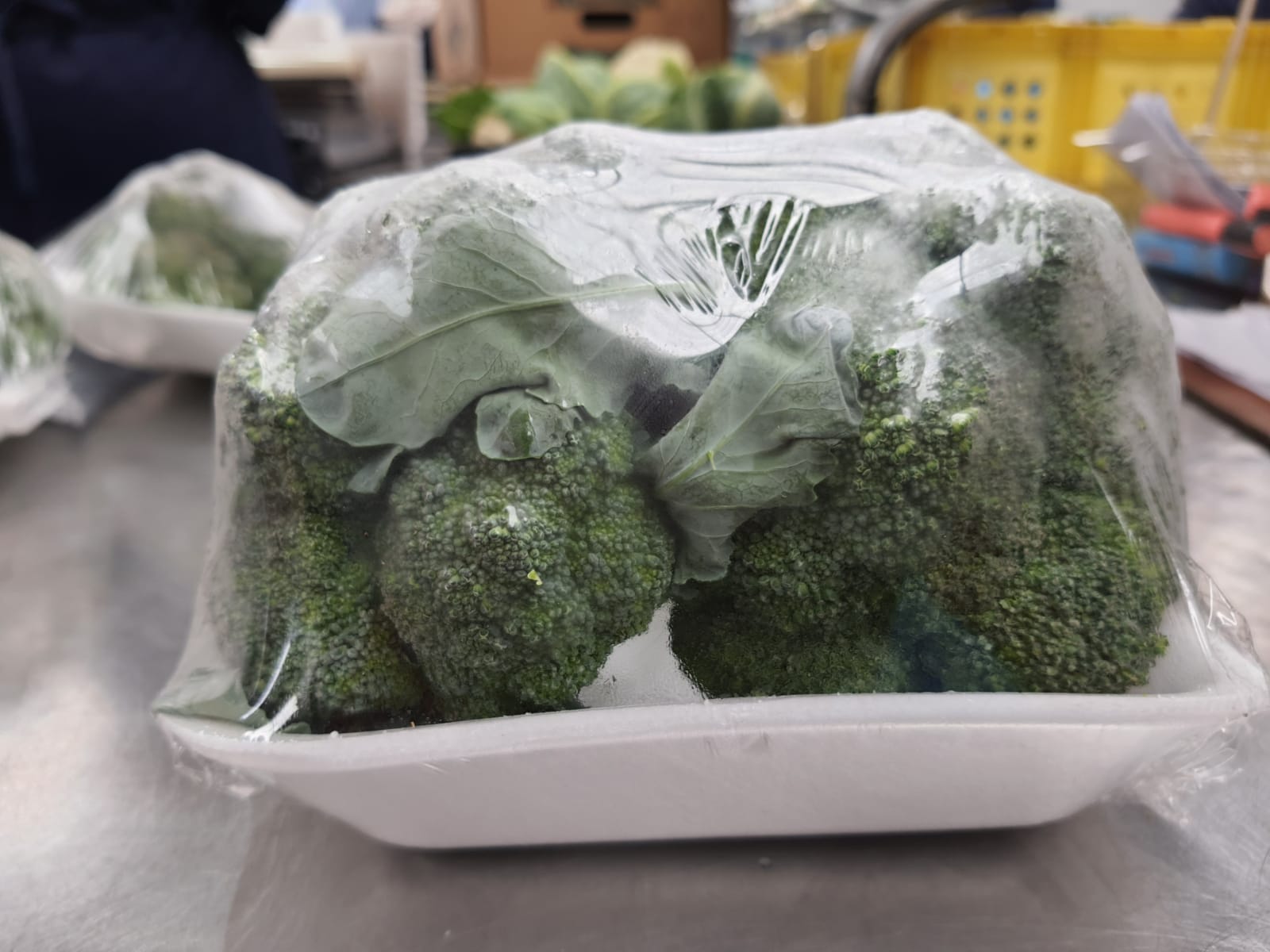 FarmMaster Organic Premium Premium Fresh Broccoli - Extra Large (2kg)