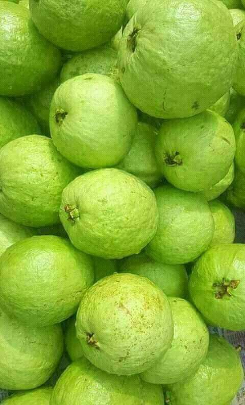 FarmMaster Grade A Farm Fresh Fresh Guava - Large (1kg)