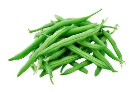 Grade A Premium Organic Fresh Green Beans - Large (1kg)