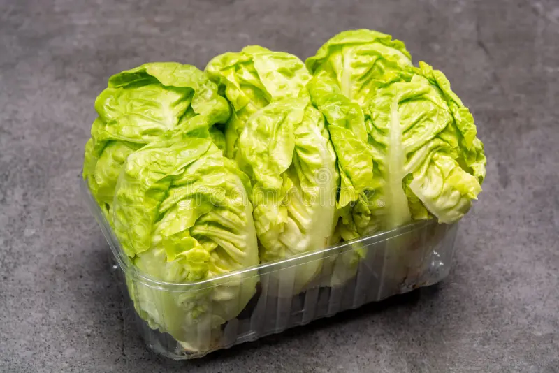 FarmMaster Organic Premium Organic Iceberg Lettuce - Medium (500g)