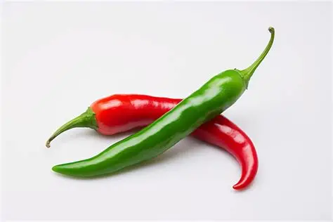 Tropical Heat Organic Premium Premium Fresh Serrano Peppers - Small (250g) - Bulk