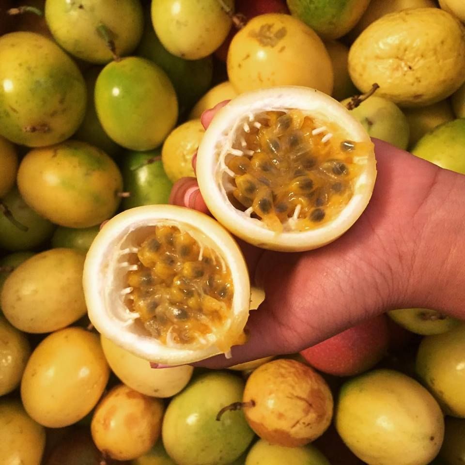 Premium Produce Grade A Premium Premium Fresh Passion Fruits - Extra Large (2kg)