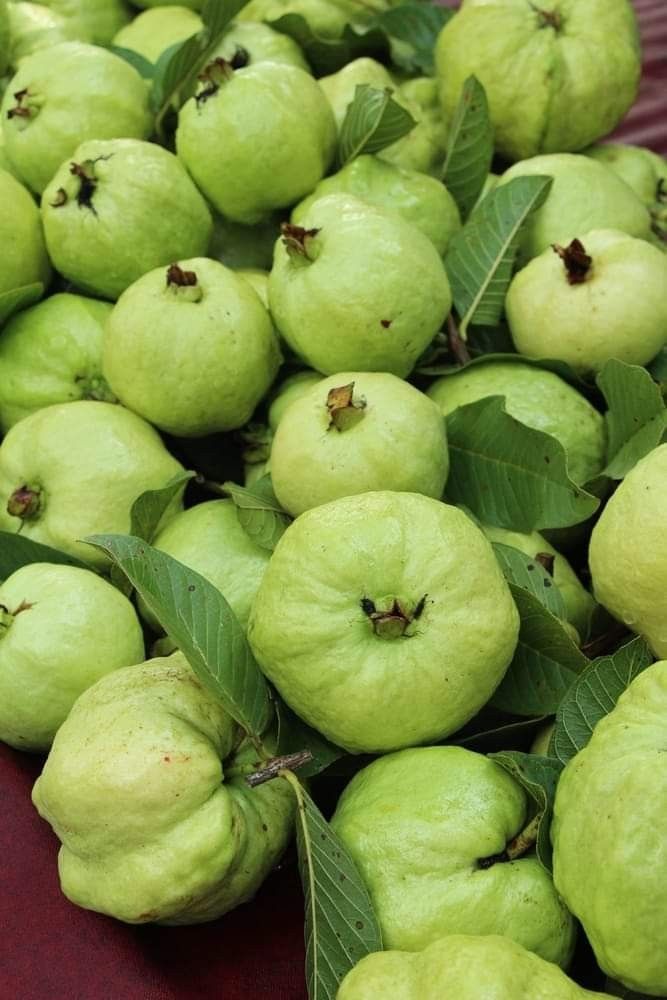 Farm Fresh Grade A Dried Fresh Guava - Small (250g)