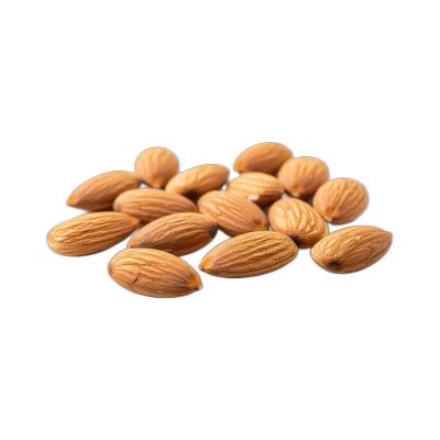 Premium Nuts Grade B Organic Raw Shea Nuts - Large (1kg)