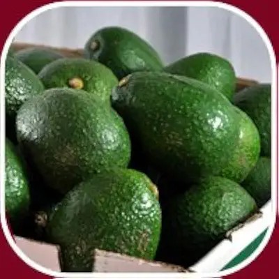 FreshFarm Organic Premium Fresh Avocado - Small (500g) - Loose